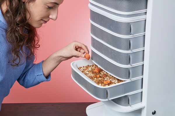 A woman holding an orange pod over a drawer full of mealworms.