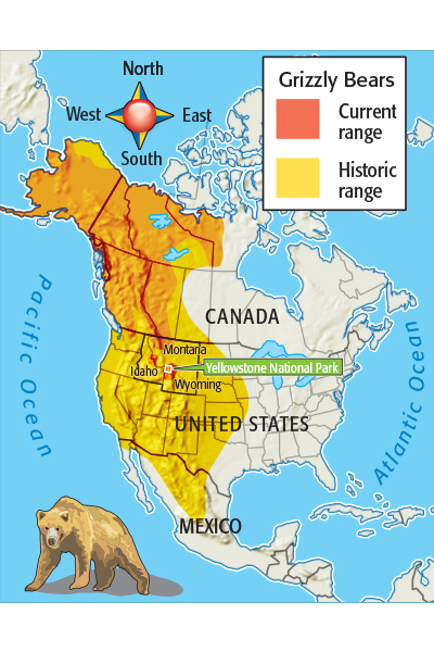 Mossback's Northwest: Where are Washington's grizzly bears?