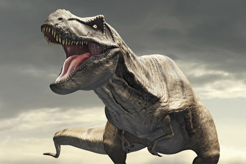 TIME for Kids Meet the Dinos