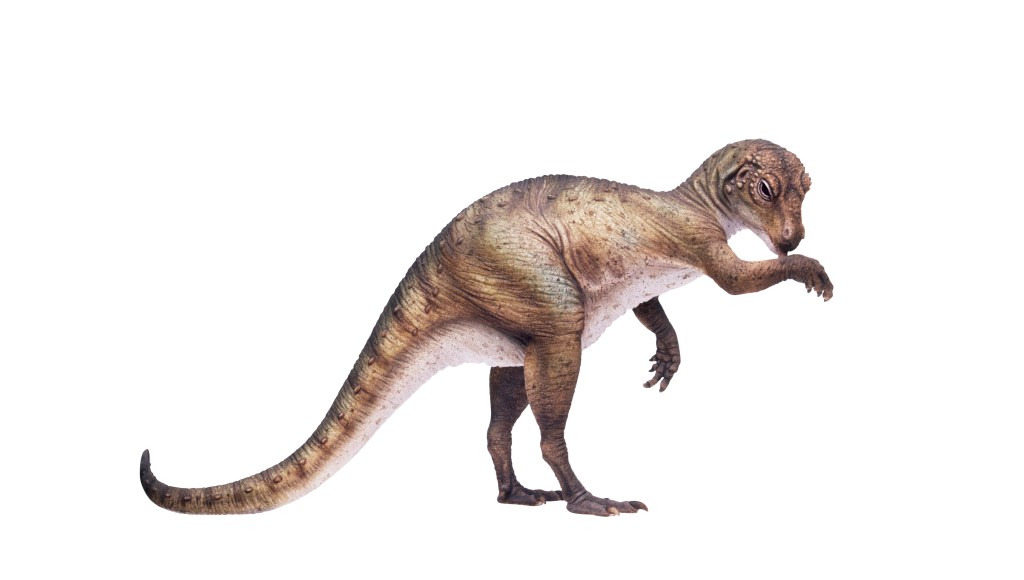 TIME for Kids Meet the Dinos
