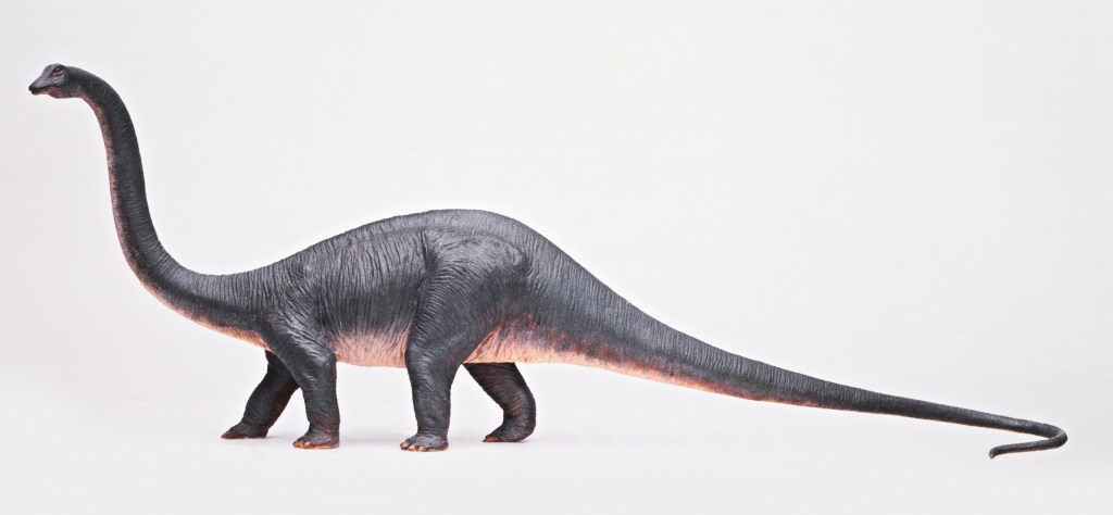 TIME for Kids Meet the Dinos