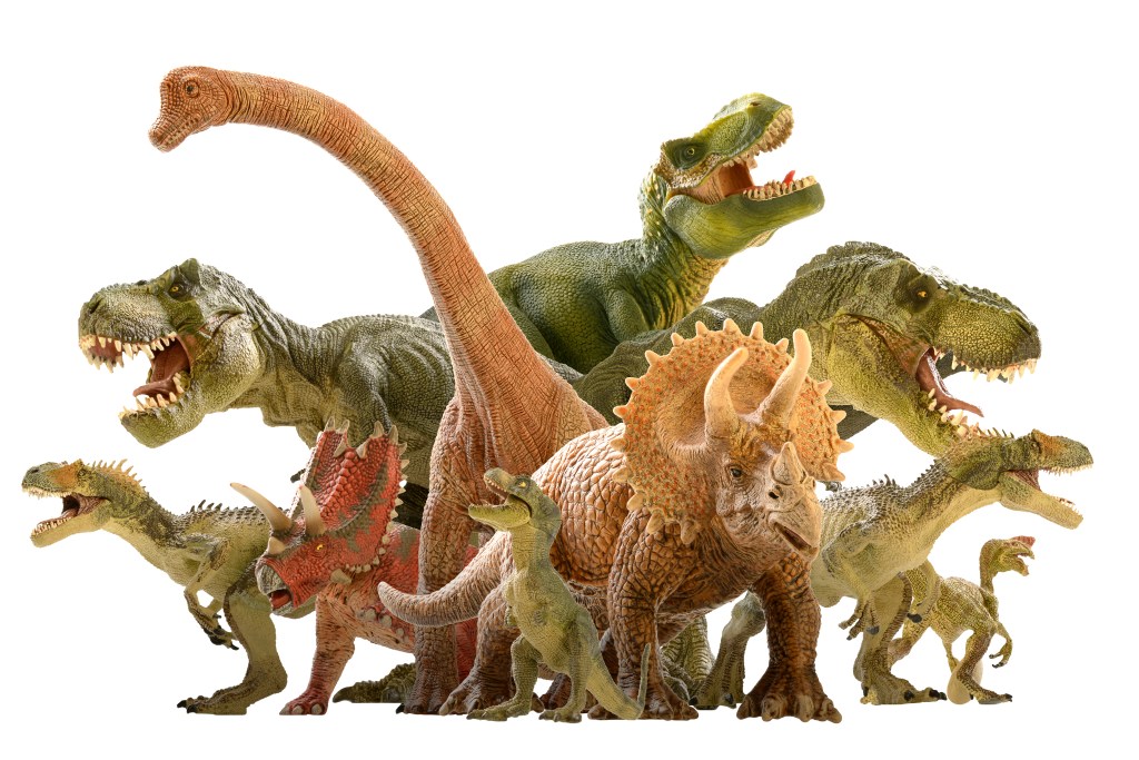 TIME for Kids Meet the Dinos