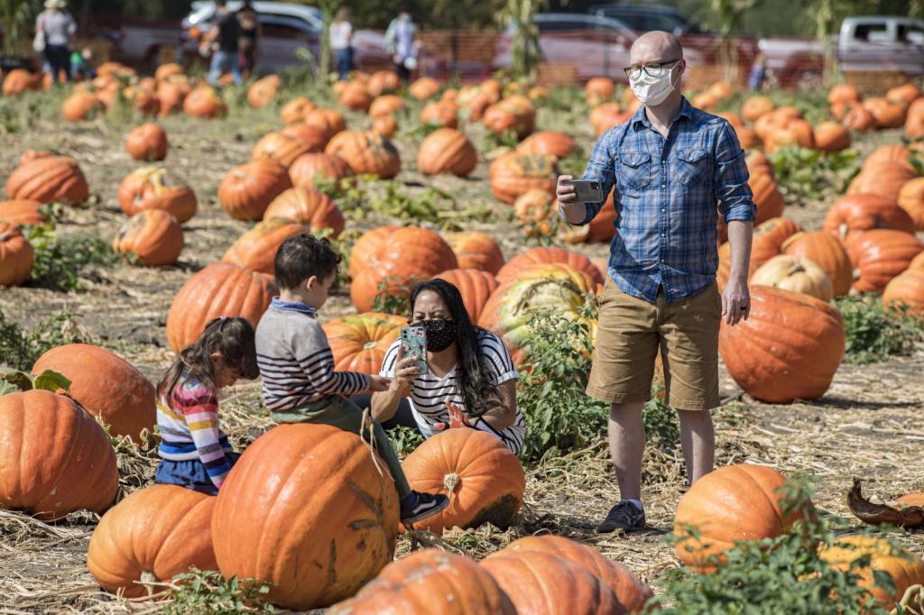 Halloween 2020