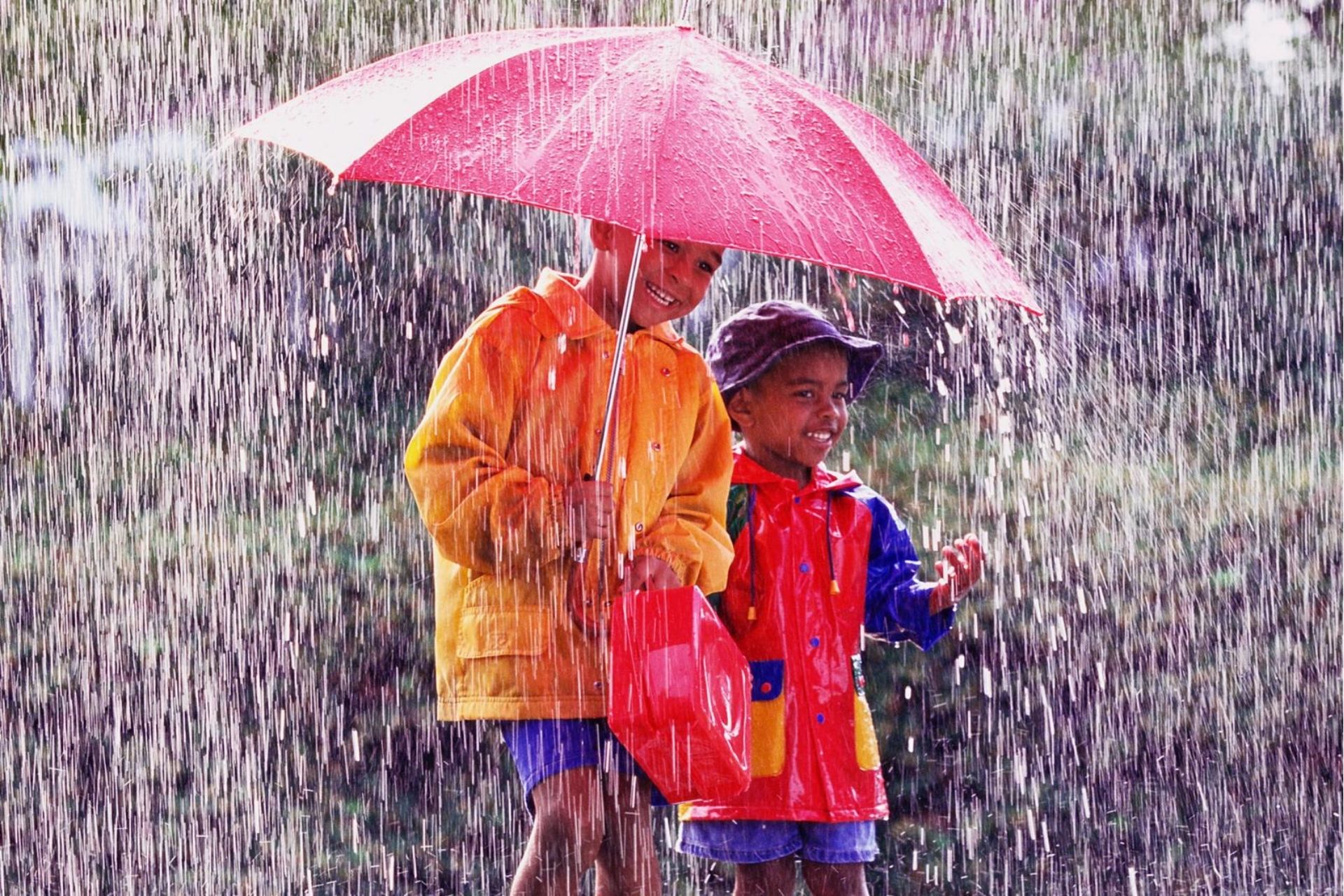 They like rain. Wet weather. Кантри дождь. Monsoon weather. Rainy weather.