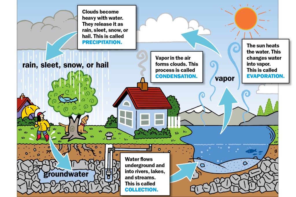 examples of condensation for kids