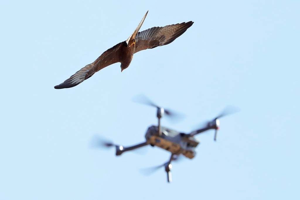 Sky's not the limit: is the drone delivery age finally taking off?, Drones  (non-military)