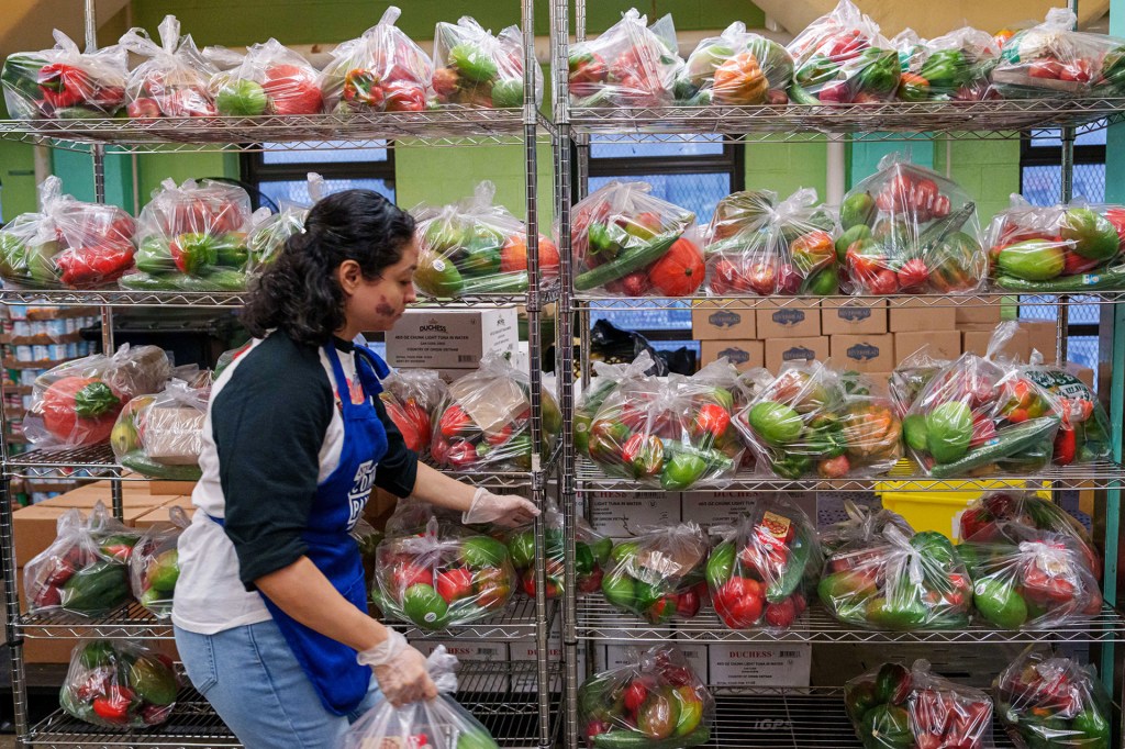 A volunteer organizes bags of fresh produce on metal shelves in a food pantry.