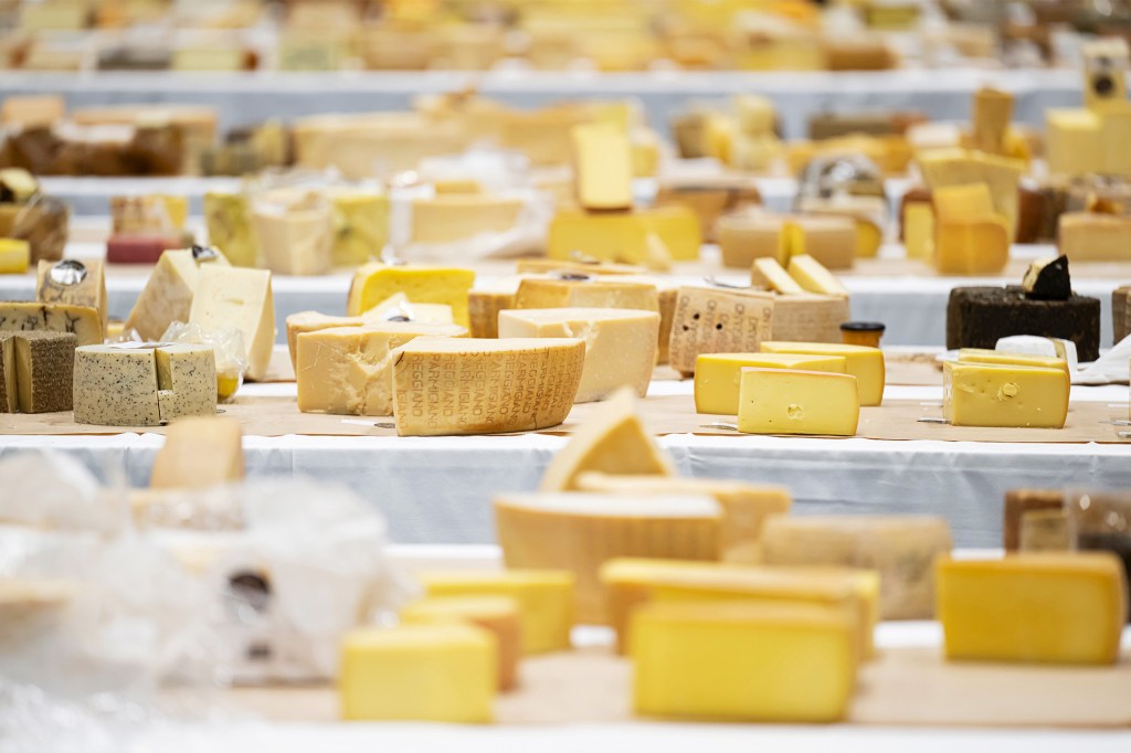 Tables covered with many varieties of cheese, including wedges, rounds, and blocks in shades of yellow and white.