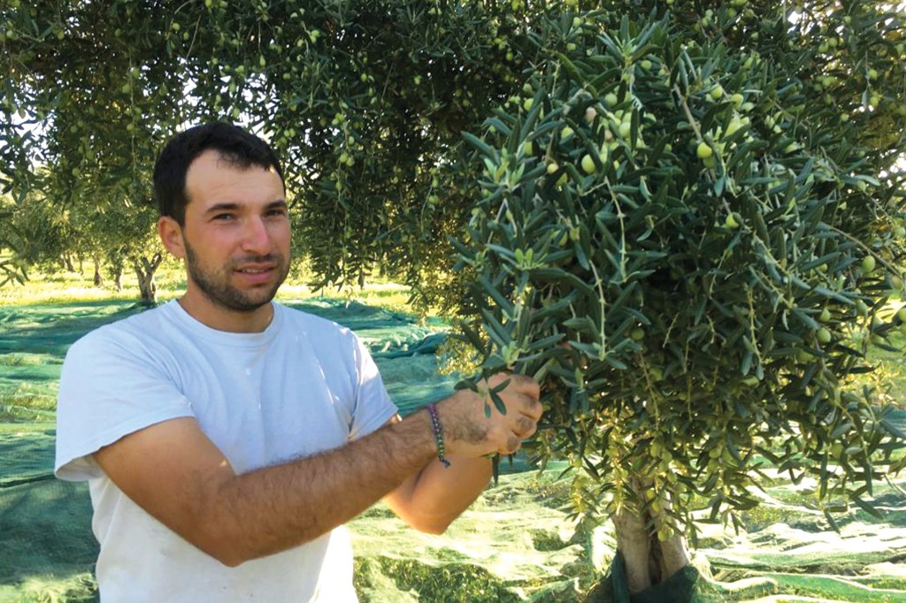 A man in a white t-shirt holding the branch of an olive tree.