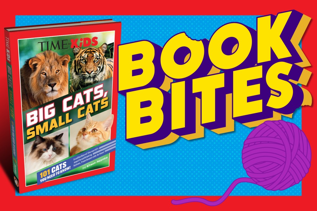 A colorful graphic shows a TIME for Kids book called “Big Cats, Small Cats” next to the text “Book Bites,” in yellow with a purple ball of yarn under it.