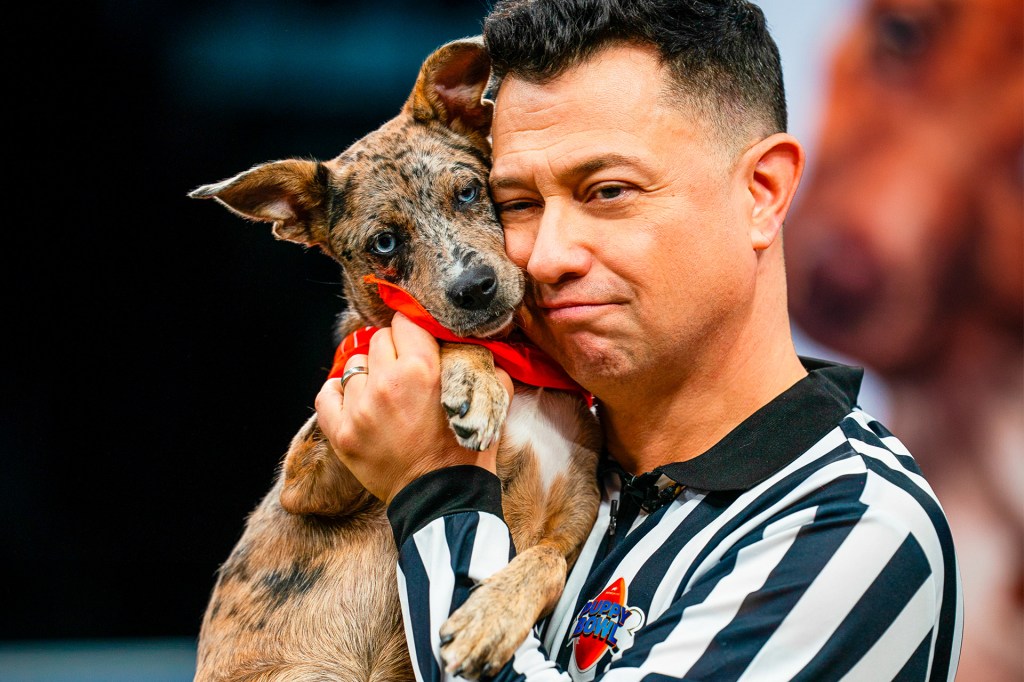A referee wearing a black-and-white striped shirt holds a small puppy with a red bandana close to his face during the Puppy Bowl.