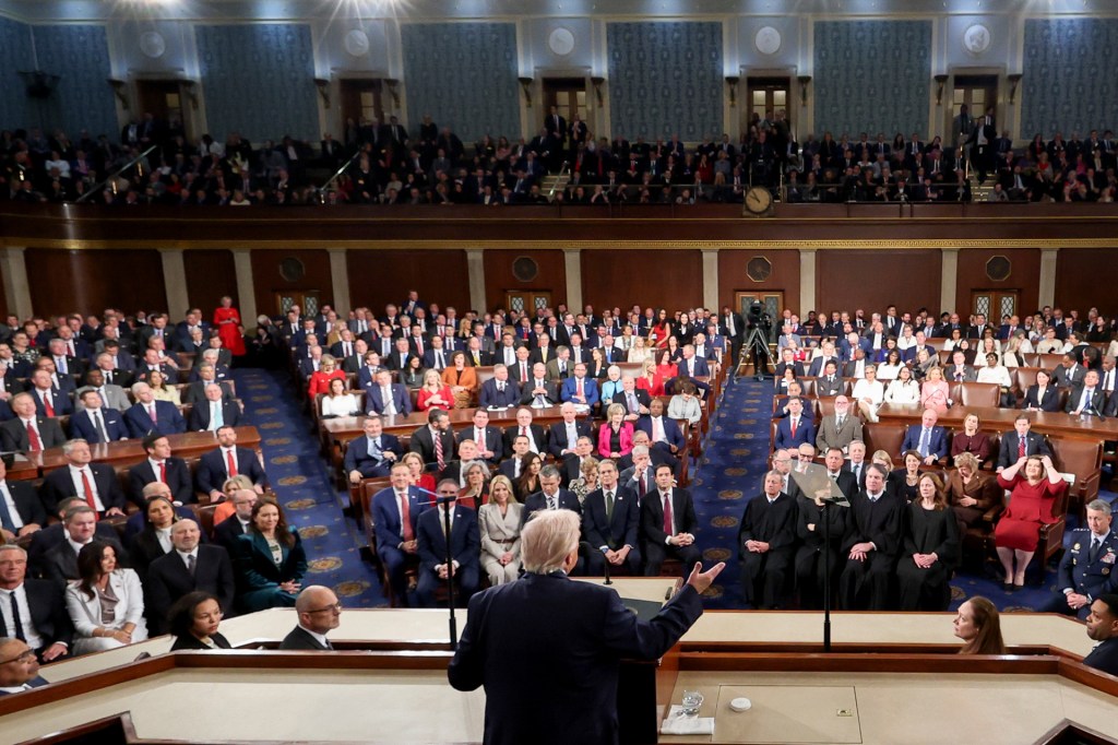 A large crowd of lawmakers and guests sit in a grand chamber as a speaker stands at a podium addressing them from the front.