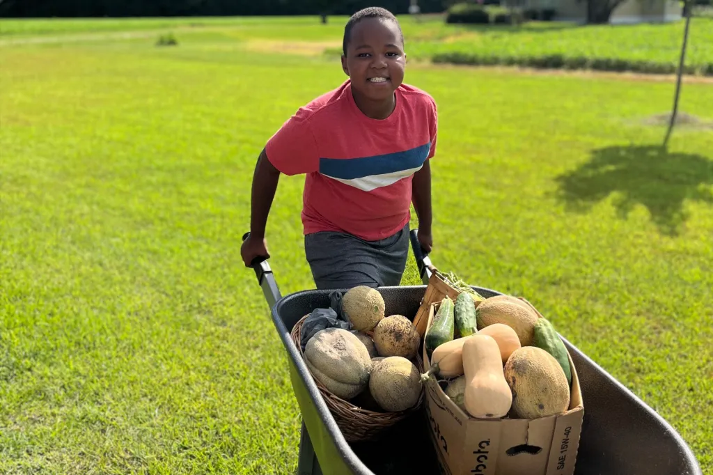 A smiling child pushes a wheelbarrow filled with fresh vegetables across a grassy field.