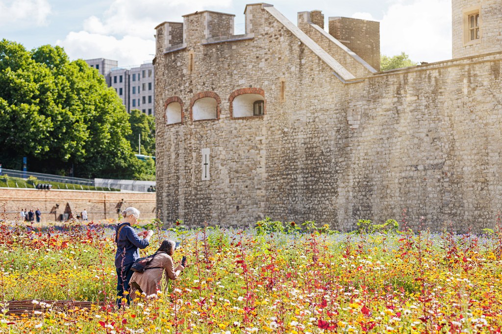 Two people take photos in a colorful field of wildflowers in front of a large stone castle wall.