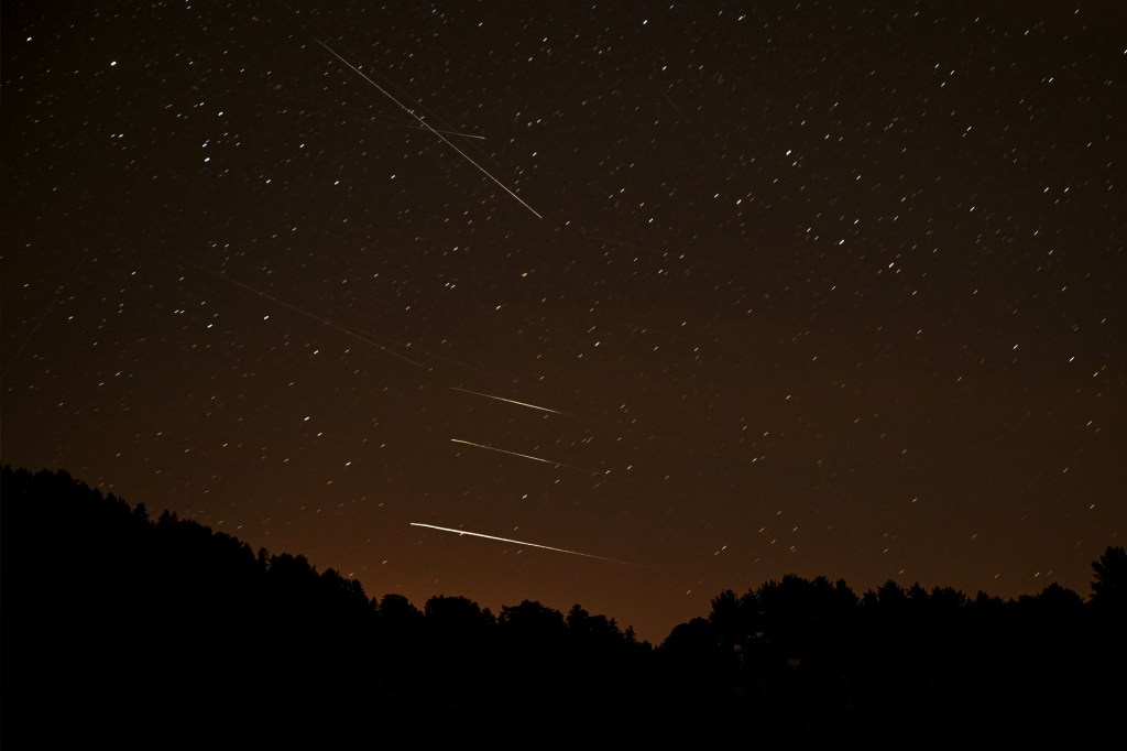 Bright streaks of meteors cross a dark night sky filled with stars above a tree line.