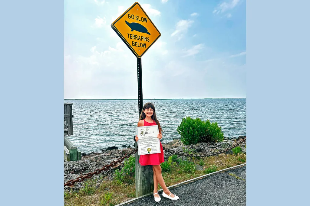 A yellow road sign reads “Go slow, terrapins below” near the water