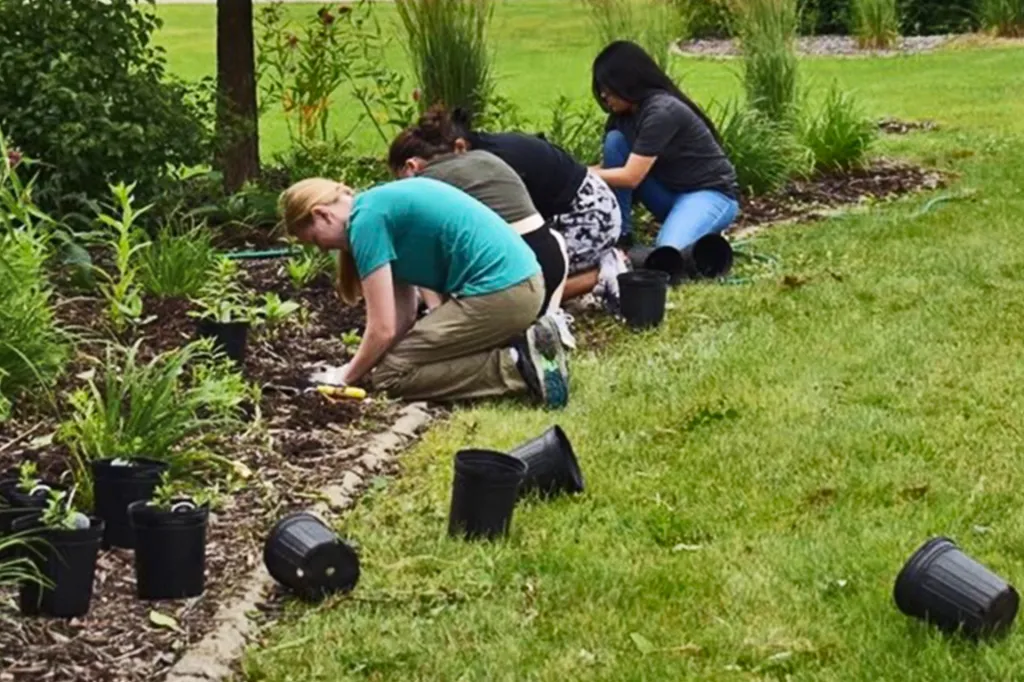 Four people kneel in a garden bed, planting small plants in the soil.