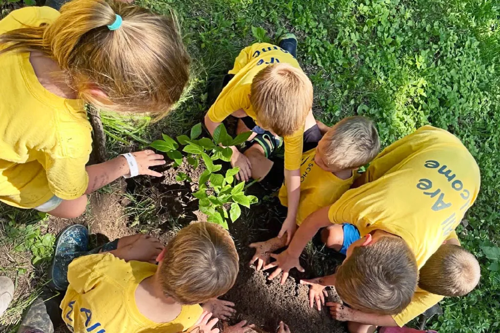 Several children in yellow shirts gather around, planting a small tree together in the ground.