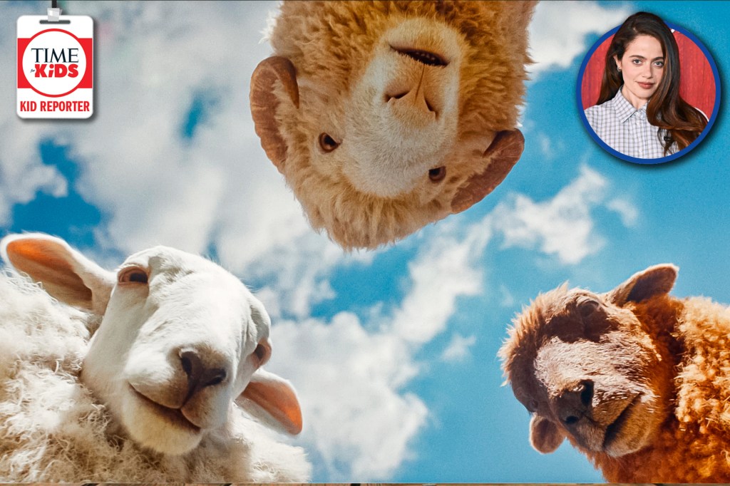Three sheep look down toward the camera against a bright blue sky, with a small photo of an actress in the corner.