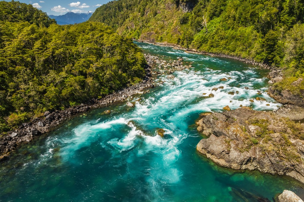 Bright blue water rushes through a rocky river surrounded by trees.