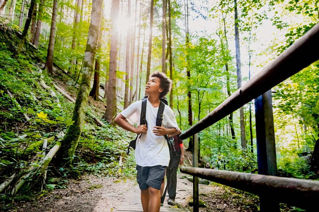 A child stands on a wooden bridge and looks out at a green forest.