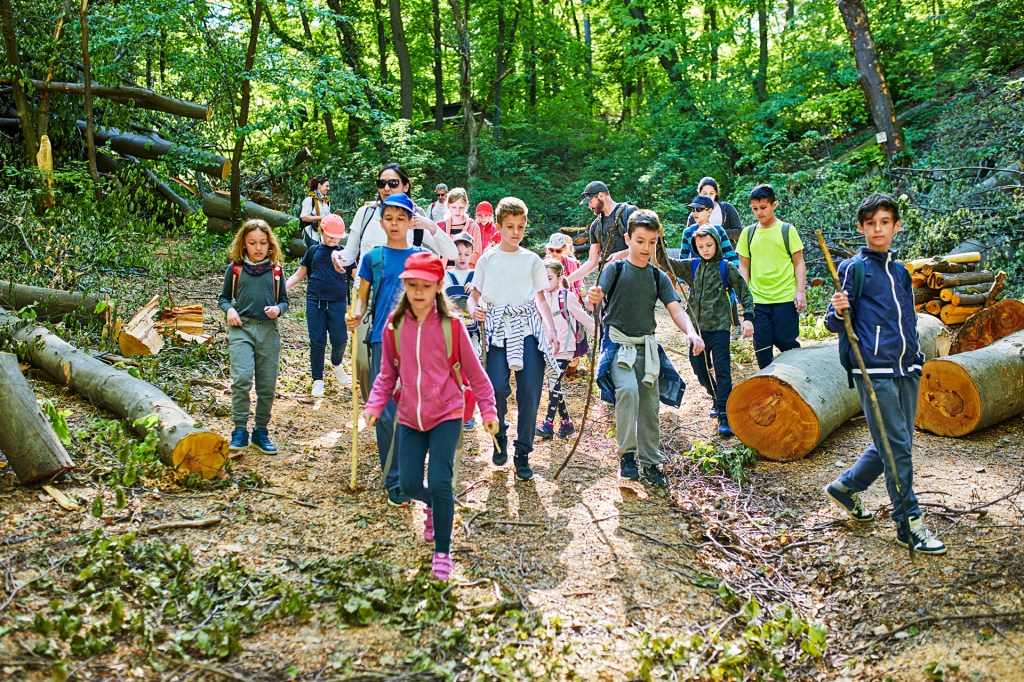 A group of children and adults hike along a trail through a green forest.
