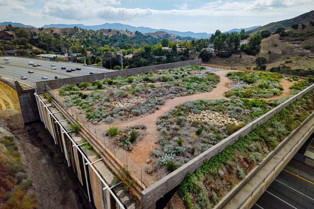 An aerial view shows a wildlife crossing covered with plants and winding dirt paths above a busy highway, with hills and mountains in the background.